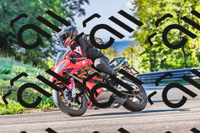 202509281056-DSC_4880_d2_