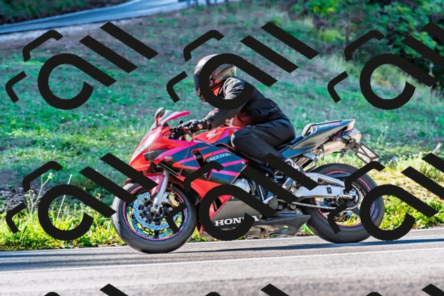 202509281056-DSC_4882_d2_