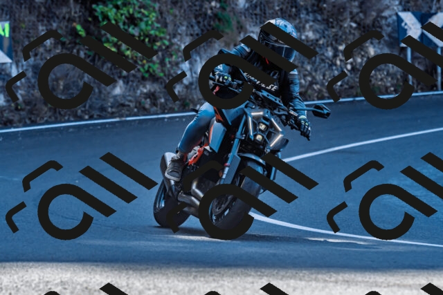 202509281059-DSC_4893_d2_