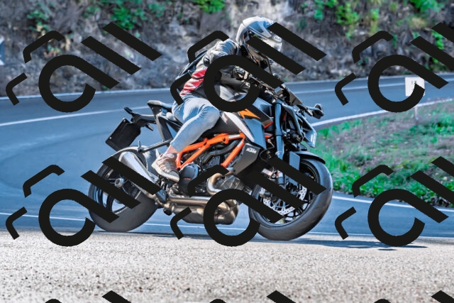 202509281059-DSC_4894_d2_