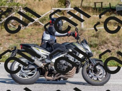 202509281439-DSC_5938_c4_