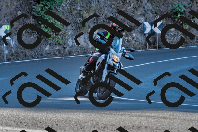 202509281100-DSC_4896_d2_