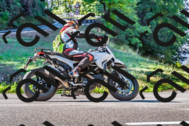 202509281100-DSC_4898_d2_