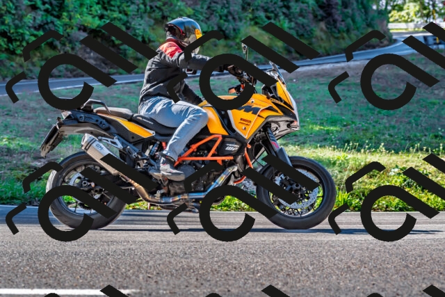 202509281102-DSC_4906_d2_