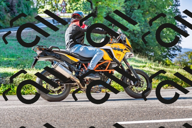 202509281102-DSC_4908_d2_