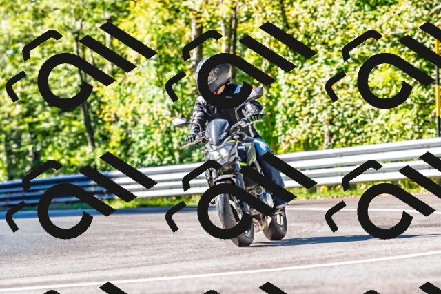 202509281103-DSC_4910_d2_