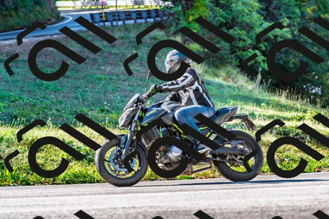 202509281103-DSC_4912_d2_