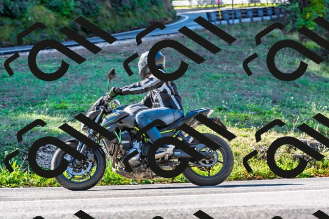 202509281103-DSC_4913_d2_