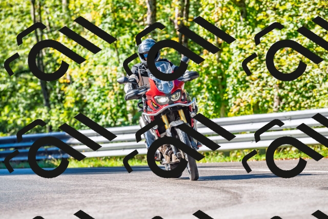 202509281105-DSC_4914_d2_