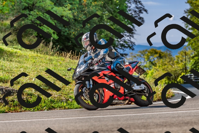 202509281115-DSC_4956_d2_