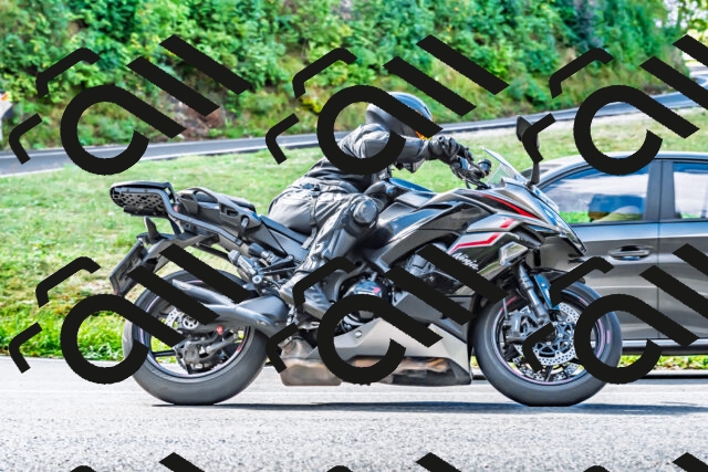 202509281117-DSC_4965_d2_