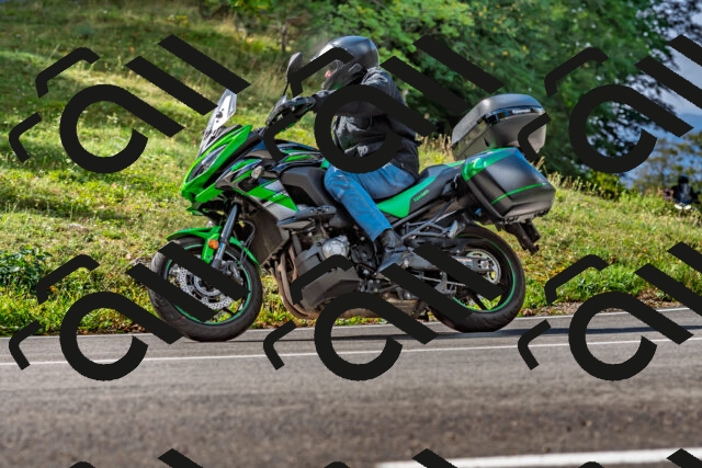 202509281118-DSC_4975_d2_