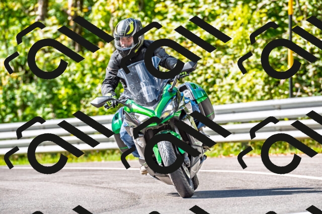 202509281119-DSC_4979_d2_