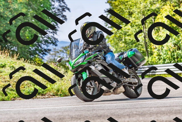 202509281119-DSC_4980_d2_