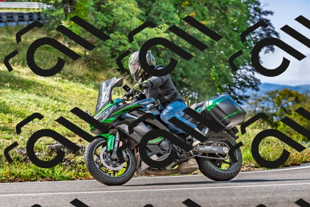 202509281119-DSC_4981_d2_