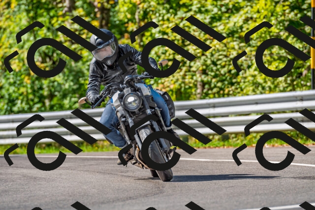 202509281119-DSC_4982_d2_