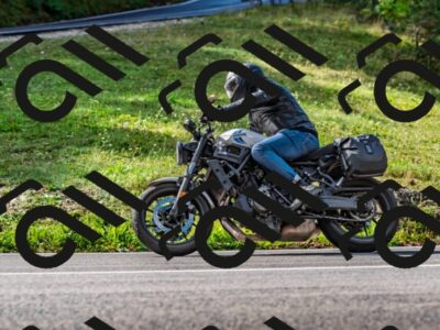 202509281119-DSC_4984_d2_