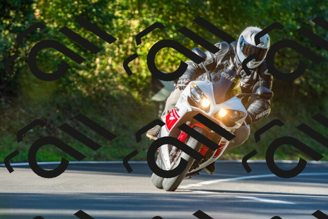 20250928095648_-R027850_r2