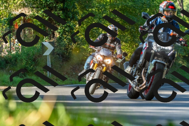 20250928100645_-R027959_r2