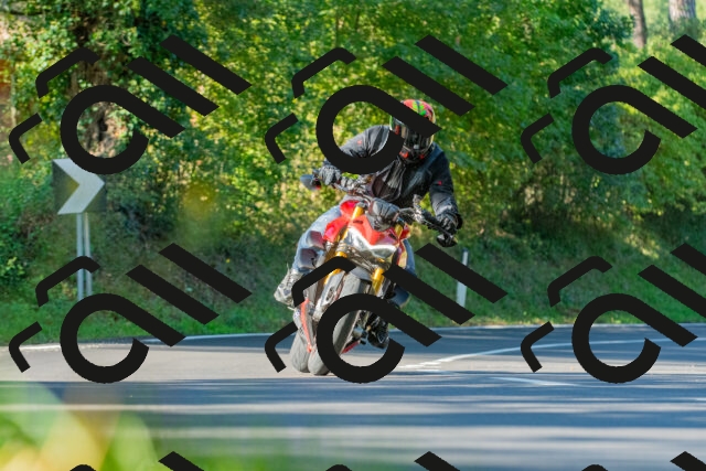 20250928100722_-R027974_r2