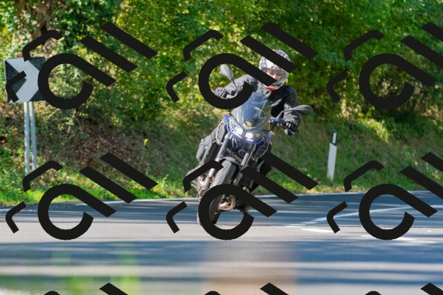 20250928110125_-R028552_r2