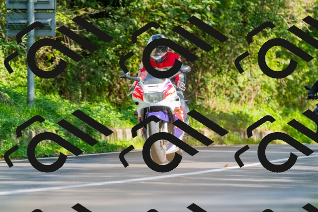 20250928111451_-R028677_r2