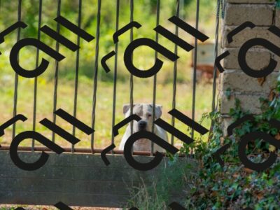 20250928112429_-R028704_r2