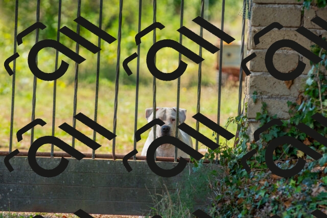 20250928112429_-R028704_r2