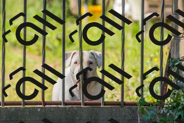 20250928112453_-R028705_r2