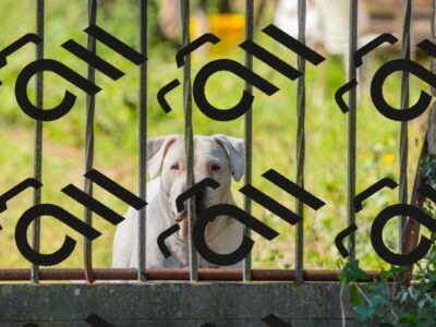 20250928112453_-R028705_r2