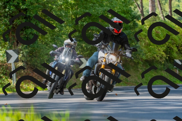 20250928120958_-R028947_r2