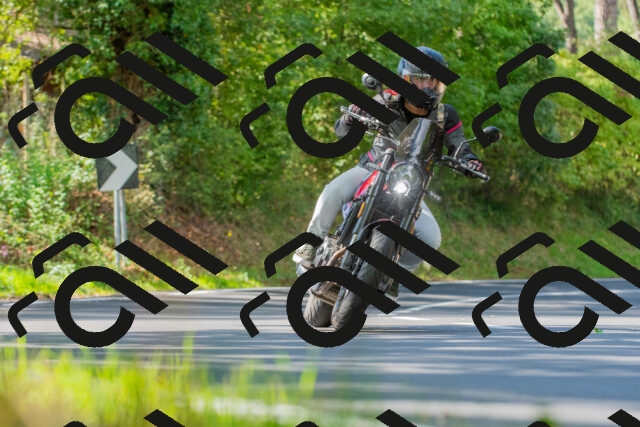 20250928121050_-R029006_r2