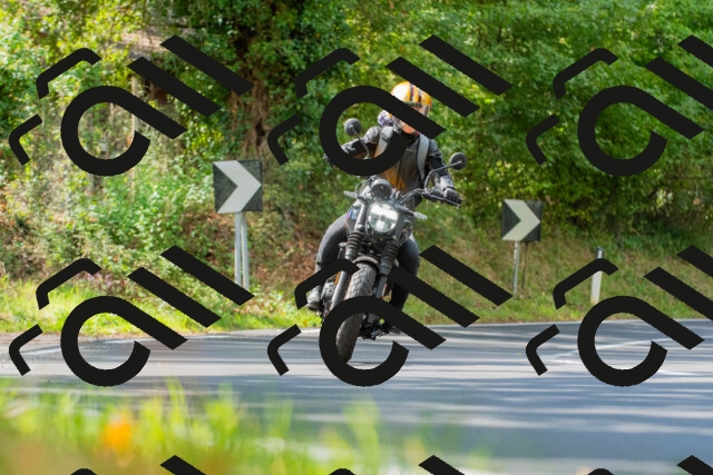 20250928122504_-R029119_r2