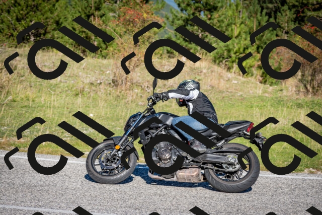 202510041032-DSC_7385_c2