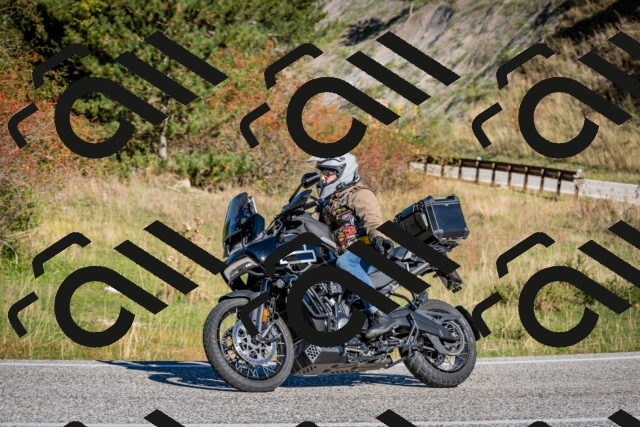 202510041034-DSC_7391_c2