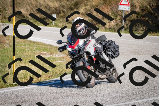 202510041059-DSC_7412_c2