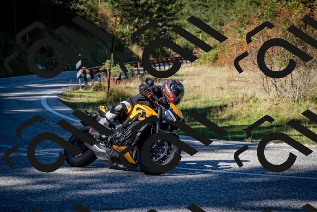 202510041200-DSC_7559_c2