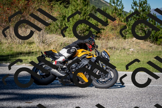 202510041200-DSC_7560_c2