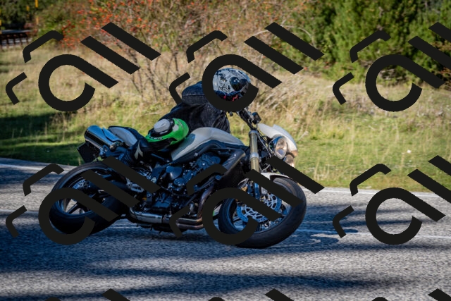 202510041200-DSC_7561_c2