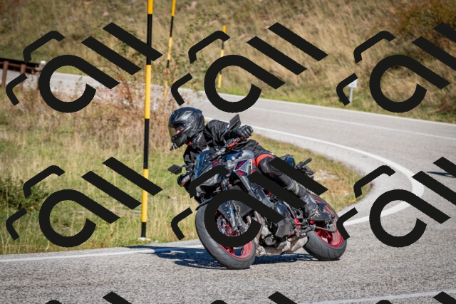 202510041200-DSC_7565_c2