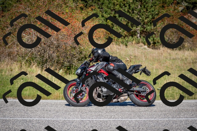 202510041200-DSC_7566_c2