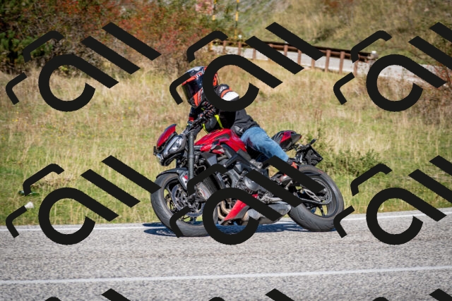 202510041200-DSC_7567_c2