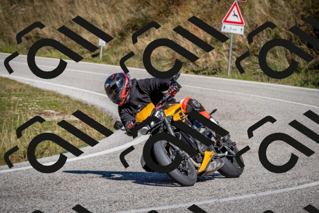 202510041201-DSC_7569_c2