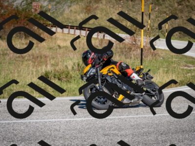 202510041201-DSC_7570_c2