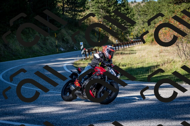 202510041201-DSC_7573_c2