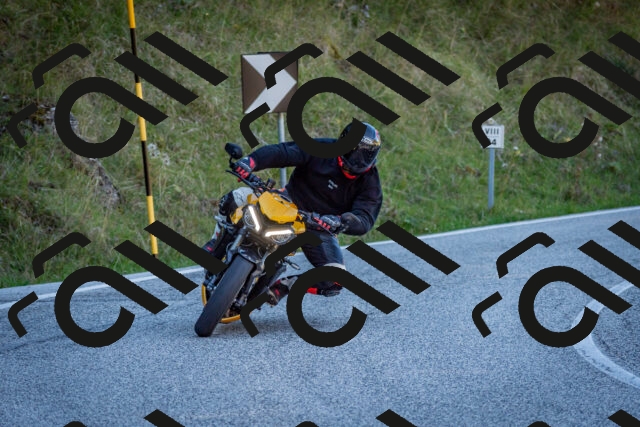 202510041201-DSC_7575_c2