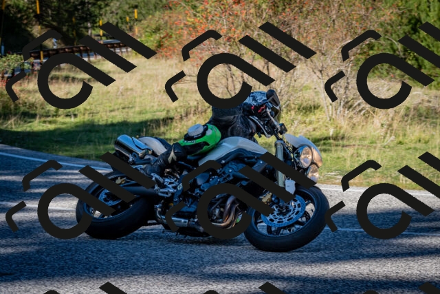 202510041201-DSC_7578_c2