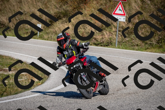 202510041202-DSC_7581_c2