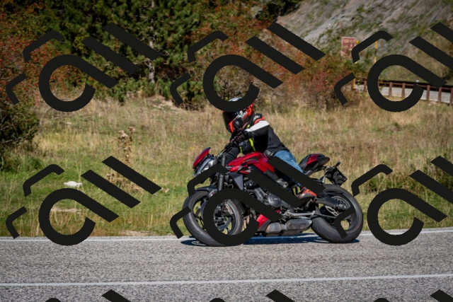 202510041202-DSC_7582_c2