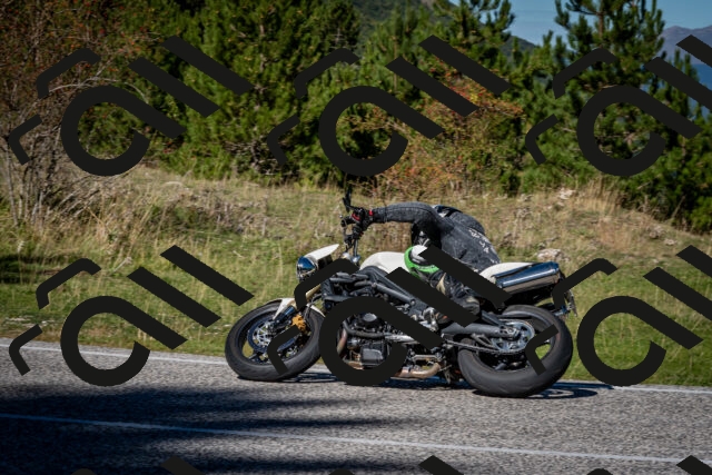 202510041203-DSC_7586_c2